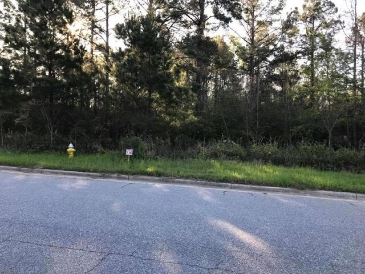 Picture of Residential Land For Sale in Albany, Georgia, United States