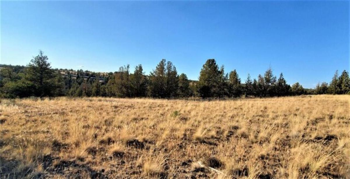 Picture of Residential Land For Sale in Prineville, Oregon, United States