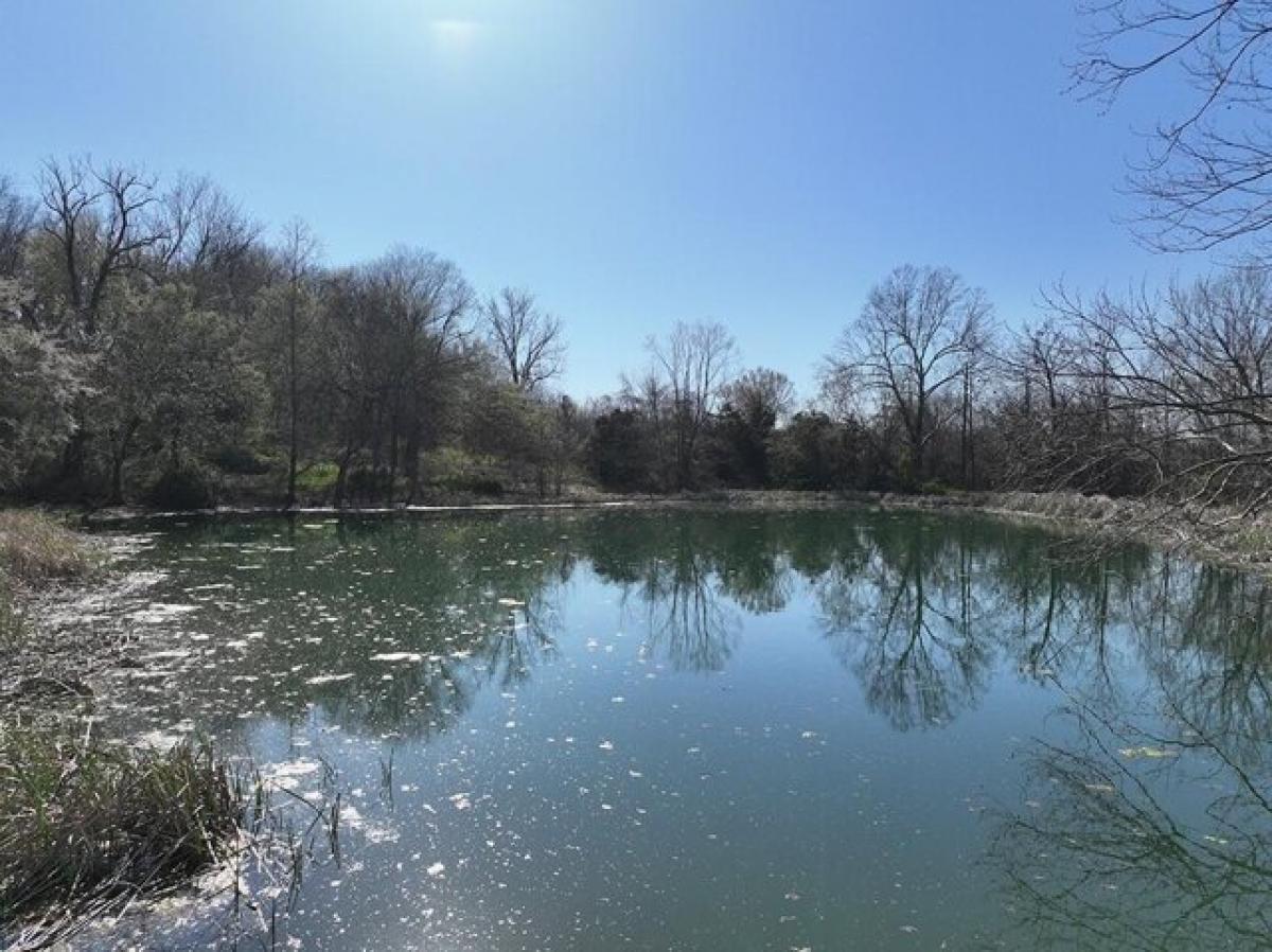 Picture of Residential Land For Sale in Canehill, Arkansas, United States