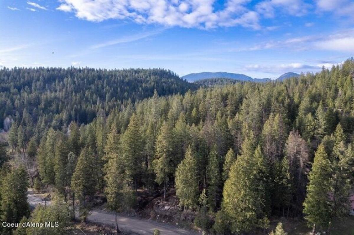 Picture of Residential Land For Sale in Athol, Idaho, United States