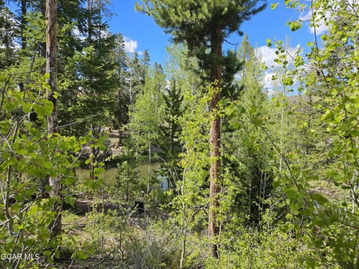 Picture of Residential Land For Sale in Grand Lake, Colorado, United States