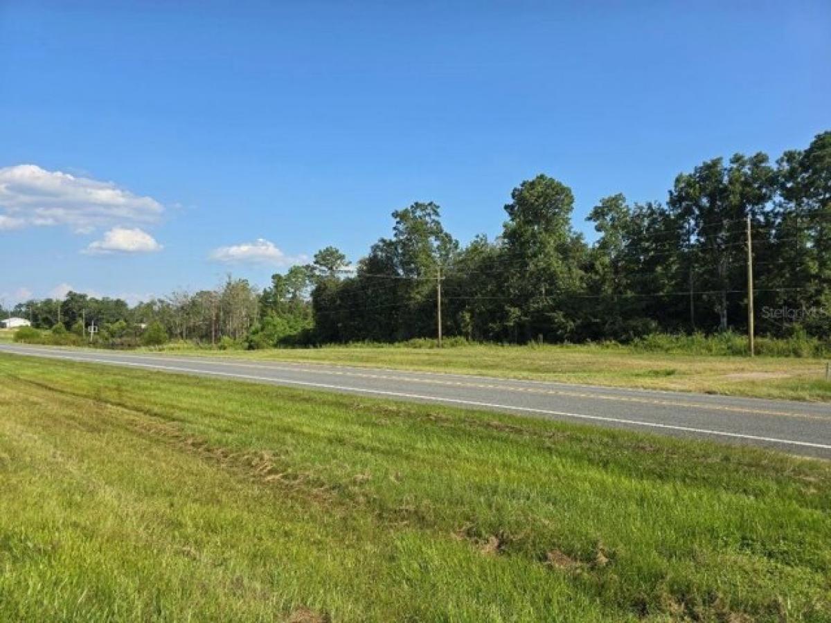 Picture of Residential Land For Sale in Marianna, Florida, United States