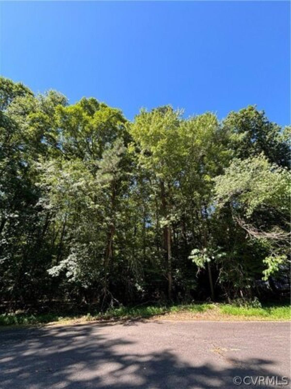 Picture of Residential Land For Sale in Ruther Glen, Virginia, United States