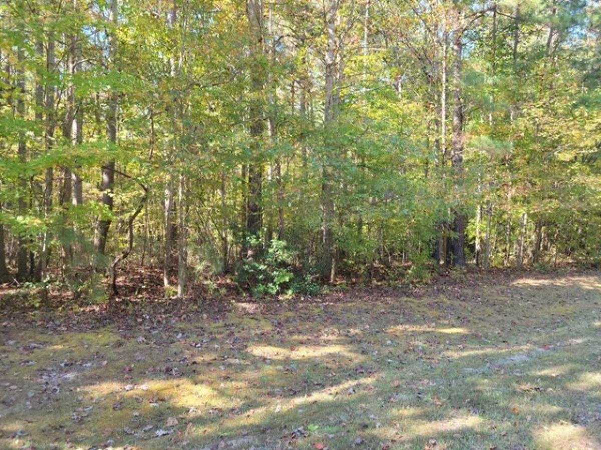 Picture of Residential Land For Sale in Heathsville, Virginia, United States