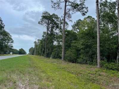 Residential Land For Sale in Hortense, Georgia