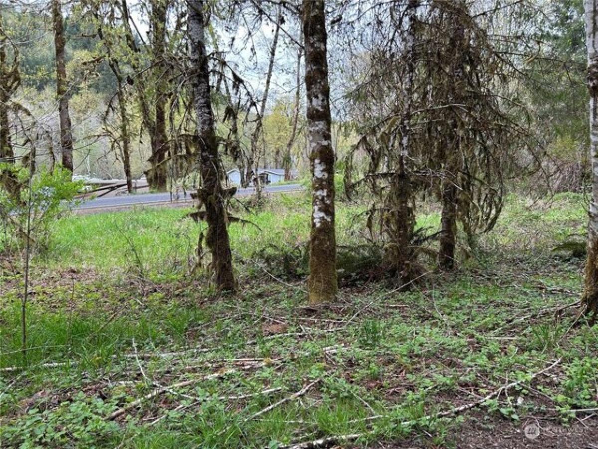 Picture of Residential Land For Sale in Longview, Washington, United States