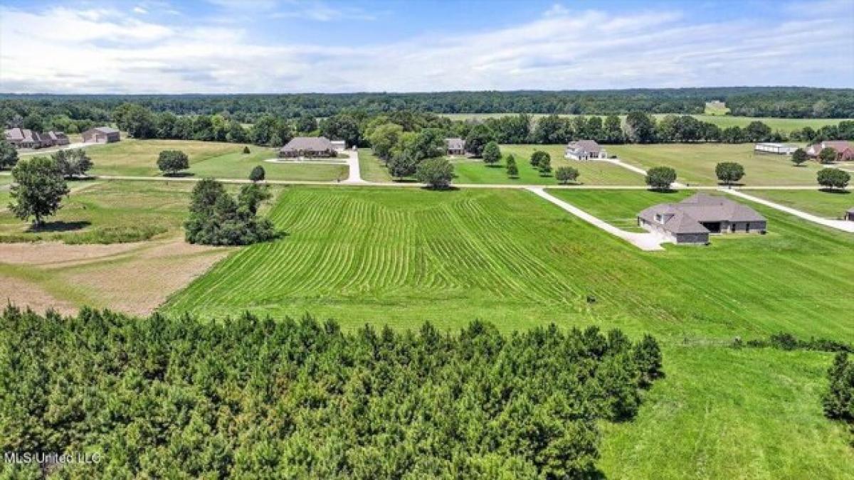 Picture of Residential Land For Sale in Clinton, Mississippi, United States