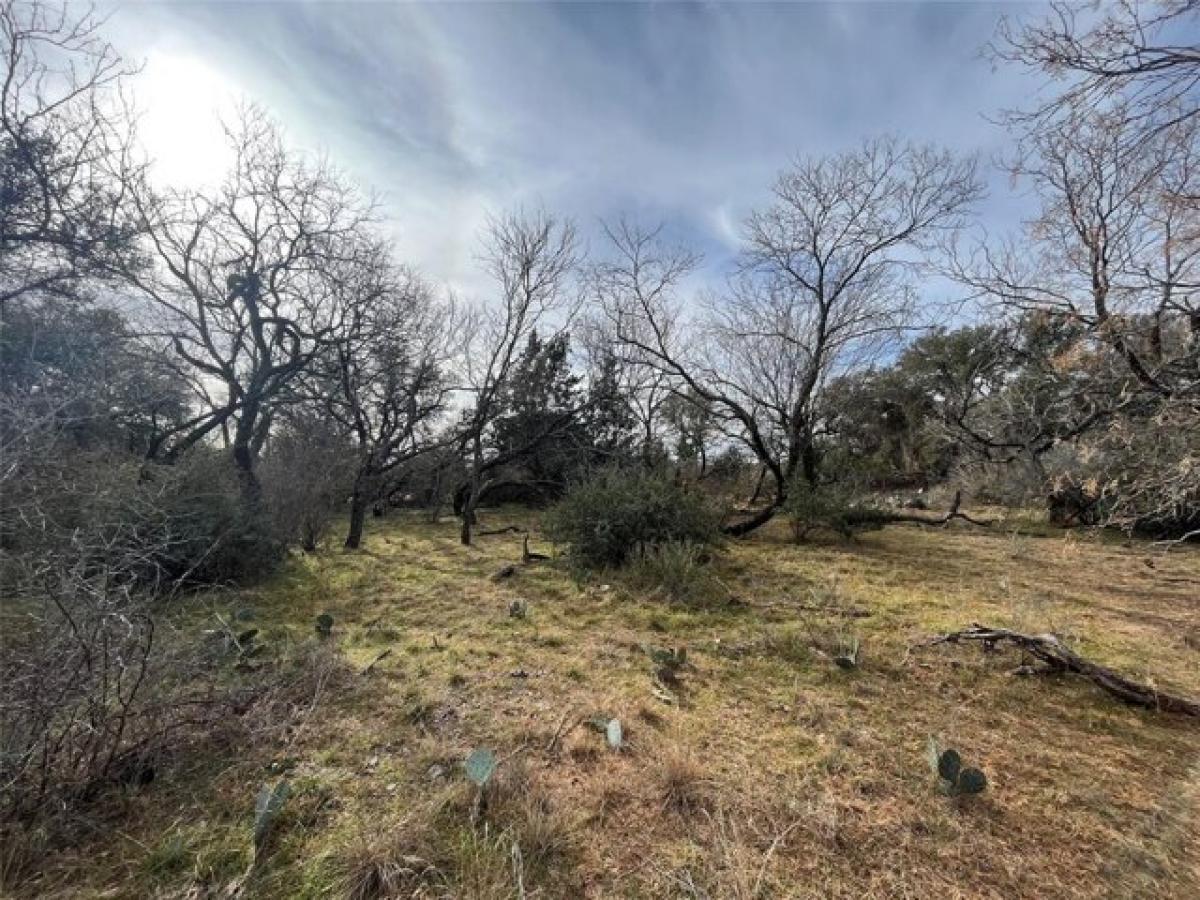 Picture of Residential Land For Sale in Early, Texas, United States