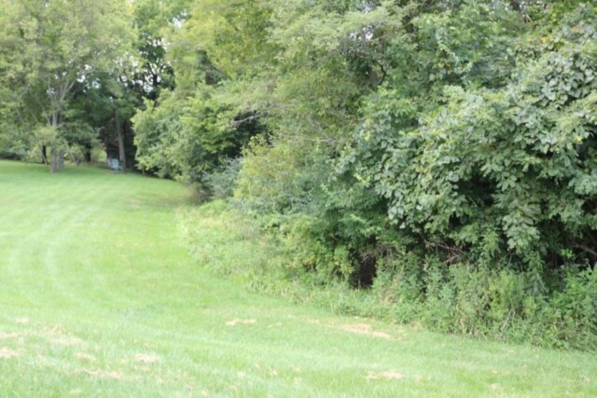 Picture of Residential Land For Sale in Aurora, Indiana, United States