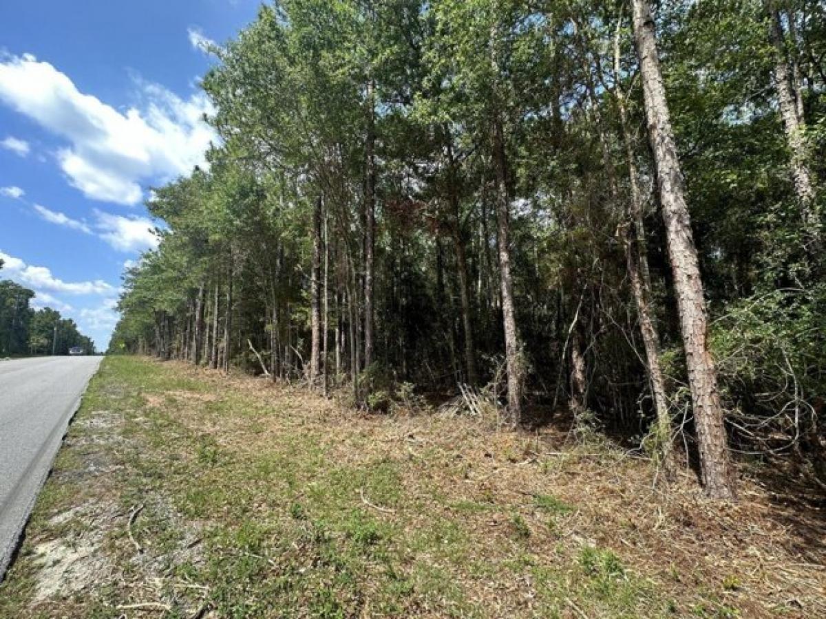 Picture of Residential Land For Sale in Crestview, Florida, United States