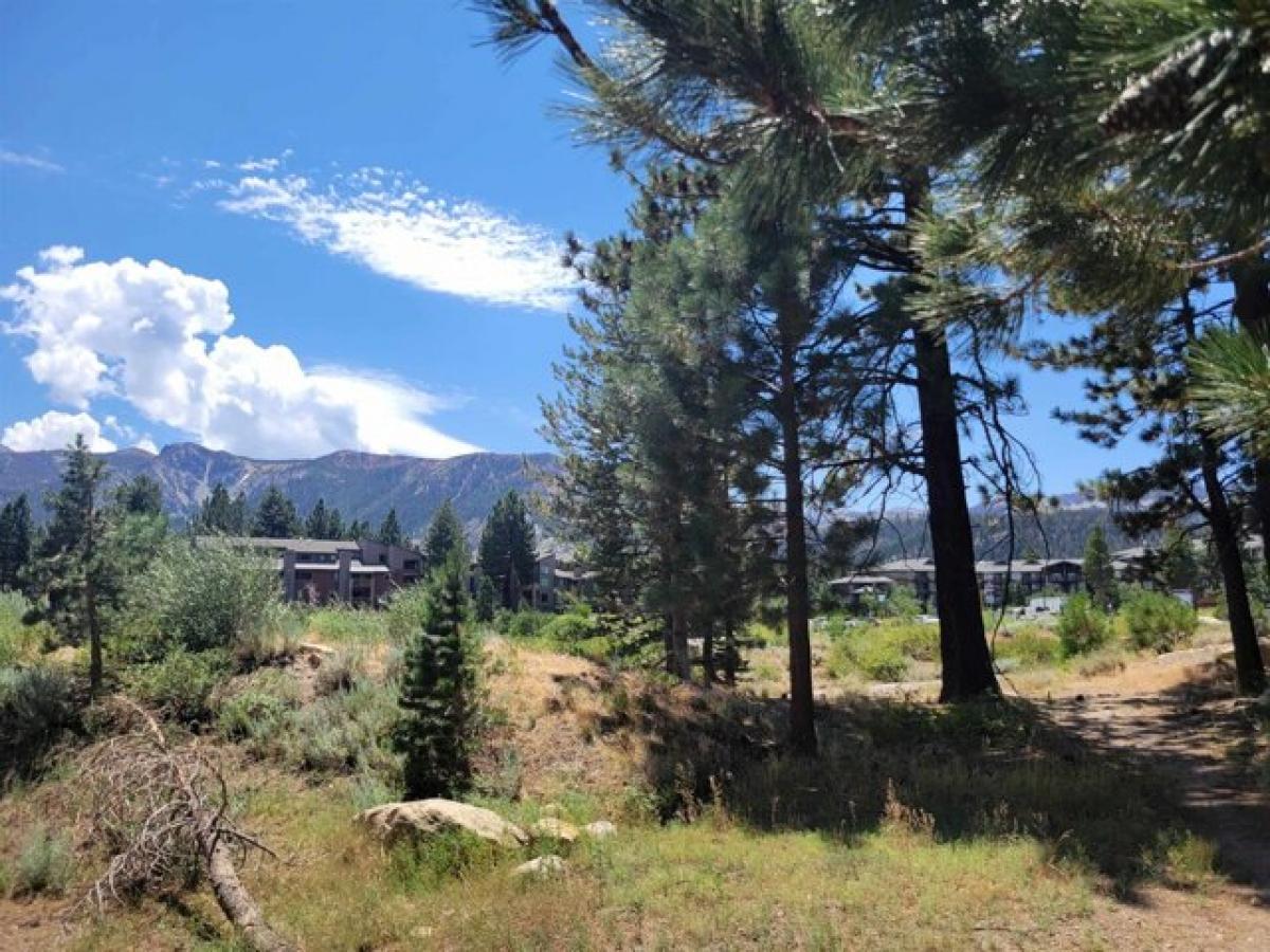 Picture of Residential Land For Sale in Mammoth Lakes, California, United States