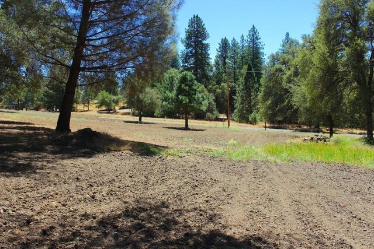 Picture of Residential Land For Sale in Placerville, California, United States