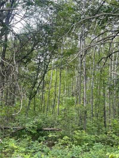 Residential Land For Sale in Pequot Lakes, Minnesota