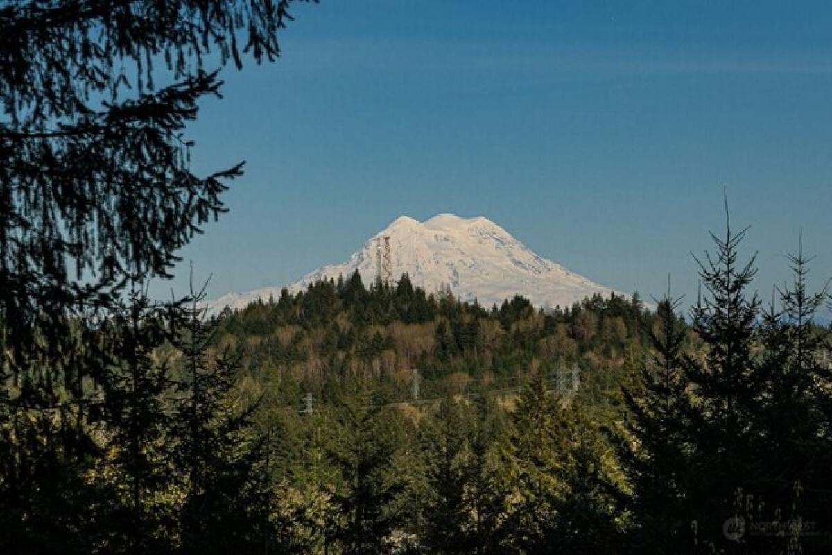 Picture of Residential Land For Sale in Olympia, Washington, United States