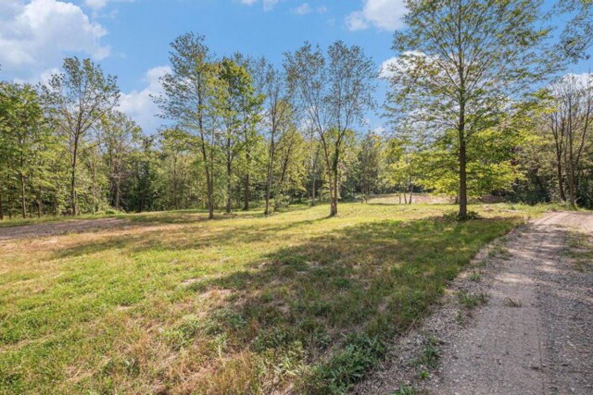 Picture of Residential Land For Sale in Delton, Michigan, United States