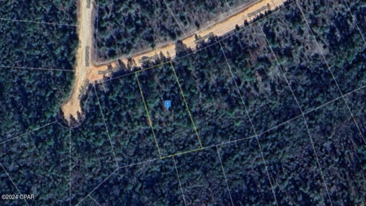 Picture of Residential Land For Sale in Alford, Florida, United States