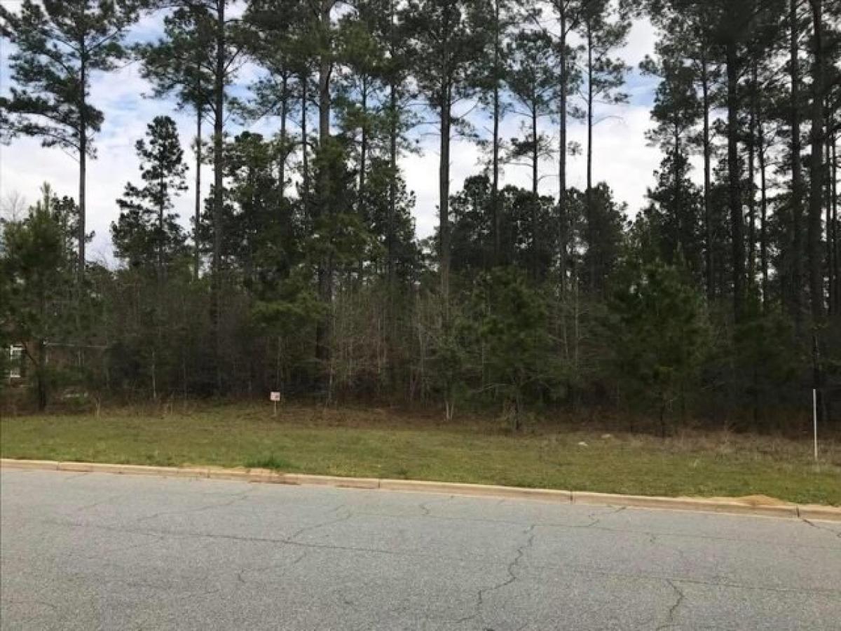 Picture of Residential Land For Sale in Albany, Georgia, United States