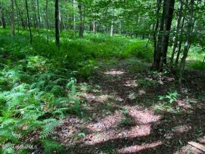 Residential Land For Sale in Pitcher, New York