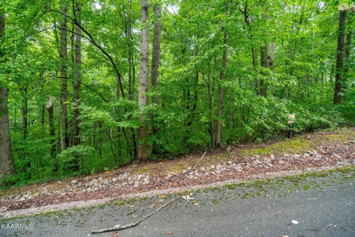 Picture of Residential Land For Rent in Smithville, Tennessee, United States