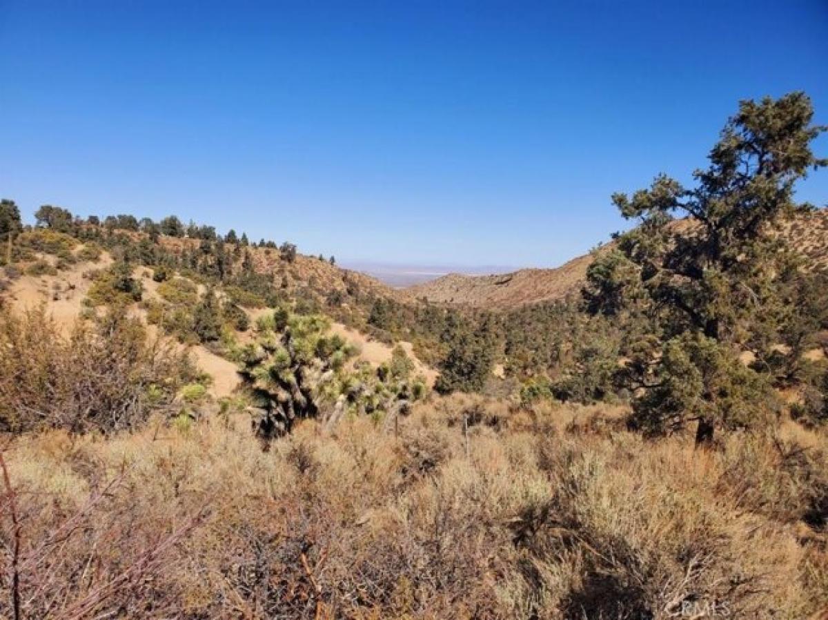 Picture of Residential Land For Sale in Wrightwood, California, United States