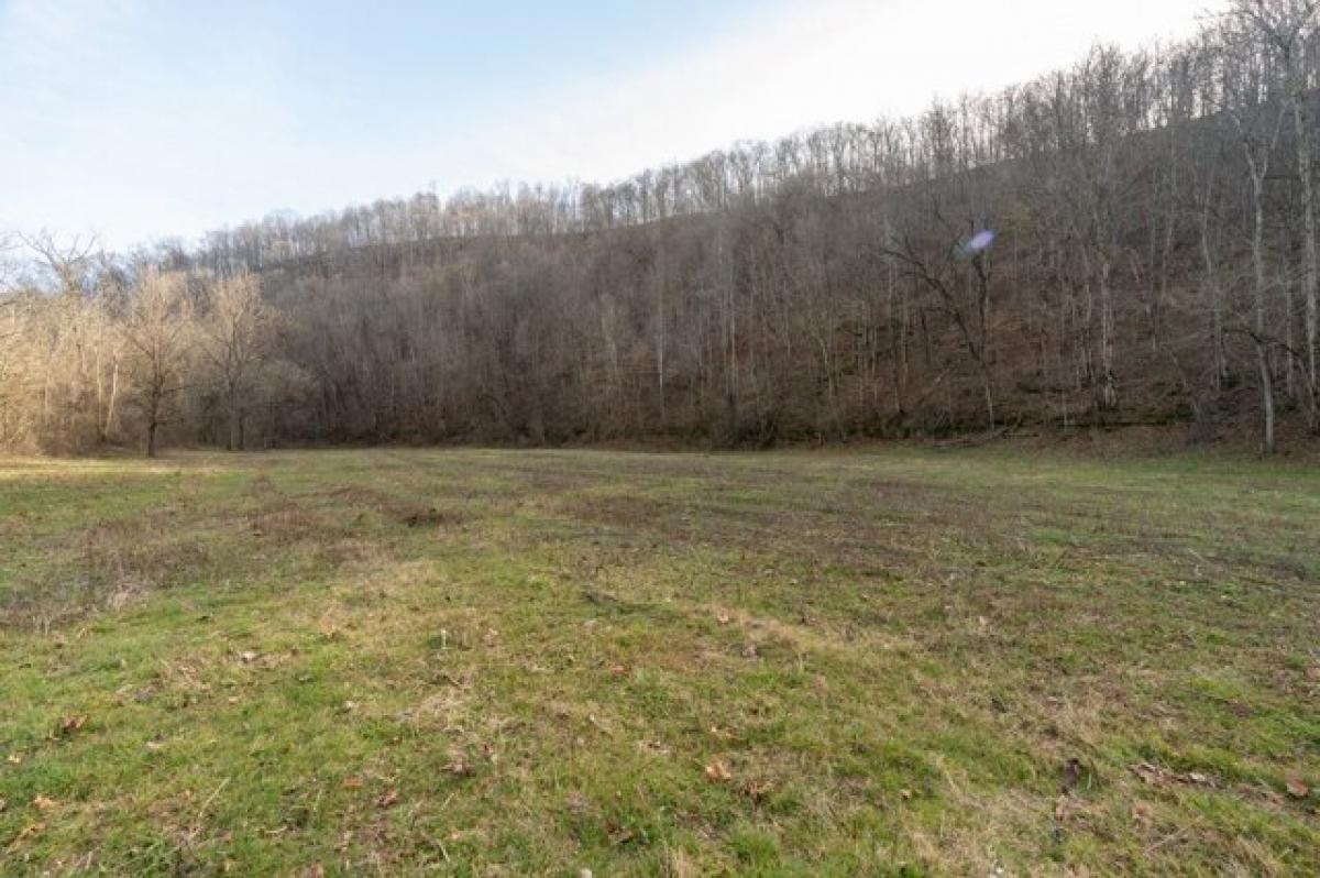 Picture of Residential Land For Sale in Whitleyville, Tennessee, United States