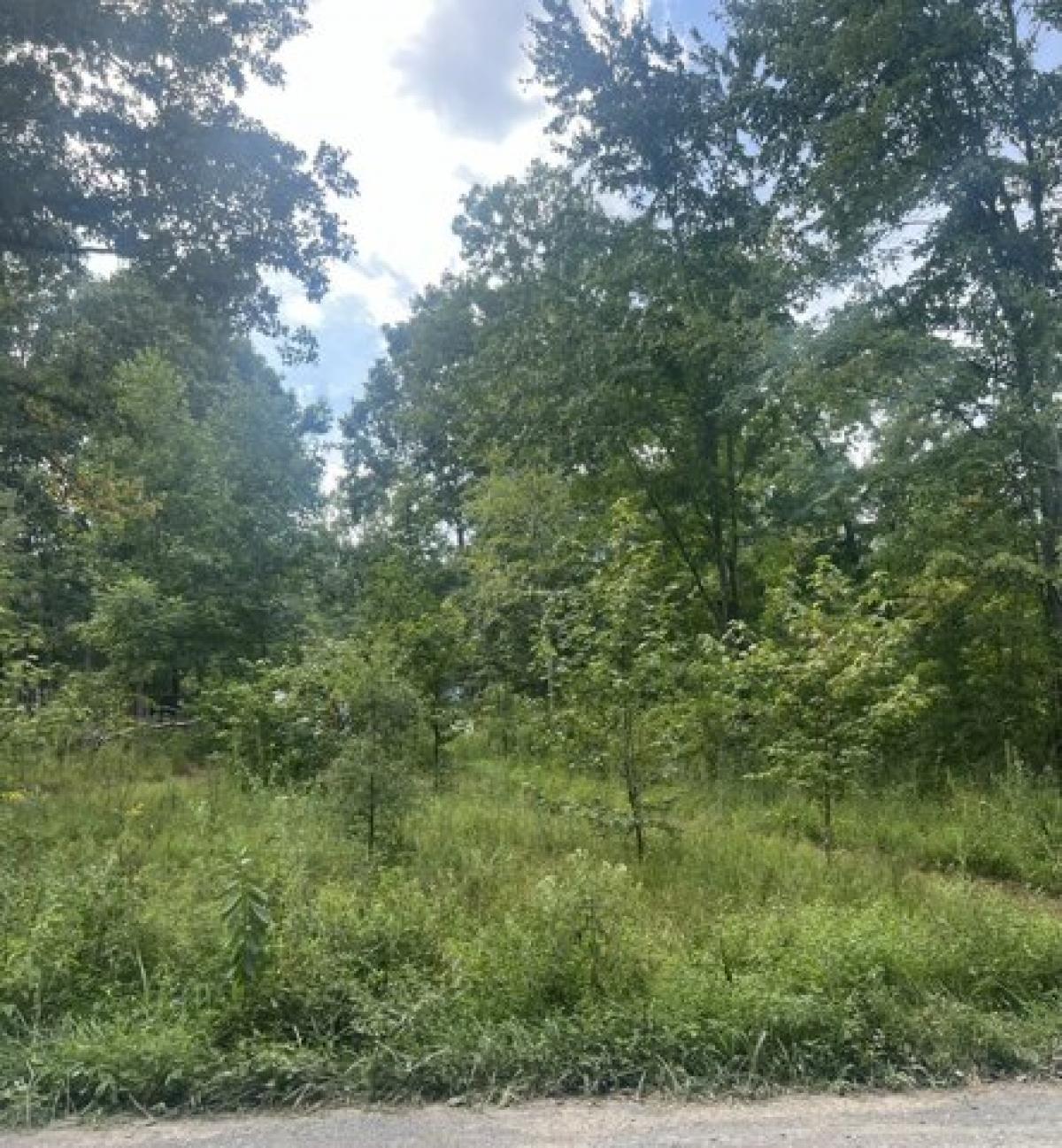 Picture of Residential Land For Sale in Beechgrove, Tennessee, United States