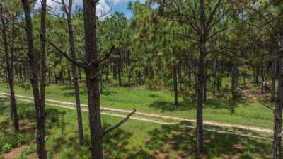 Residential Land For Sale in Ochlocknee, Georgia