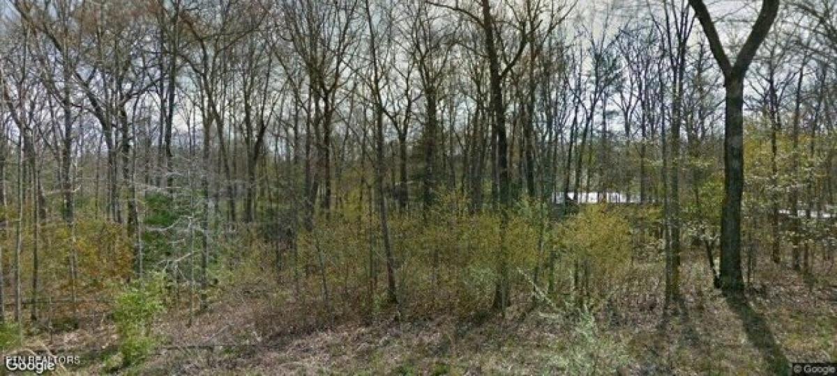 Picture of Residential Land For Rent in Crossville, Tennessee, United States