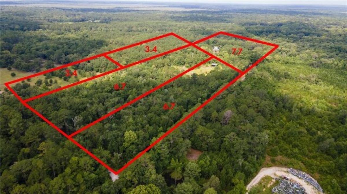 Picture of Residential Land For Sale in Micanopy, Florida, United States