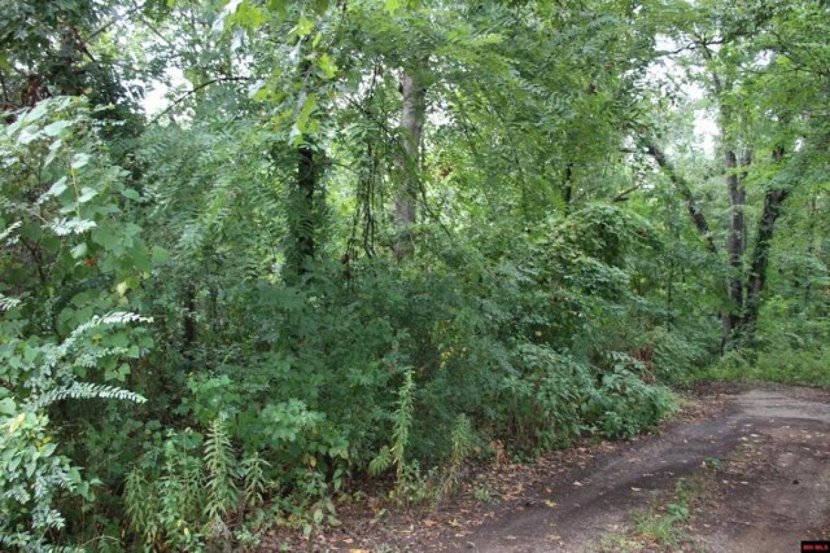 Picture of Residential Land For Sale in Summit, Arkansas, United States