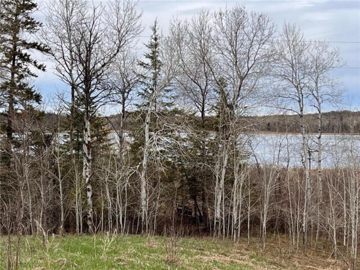 Picture of Residential Land For Sale in Rochert, Minnesota, United States