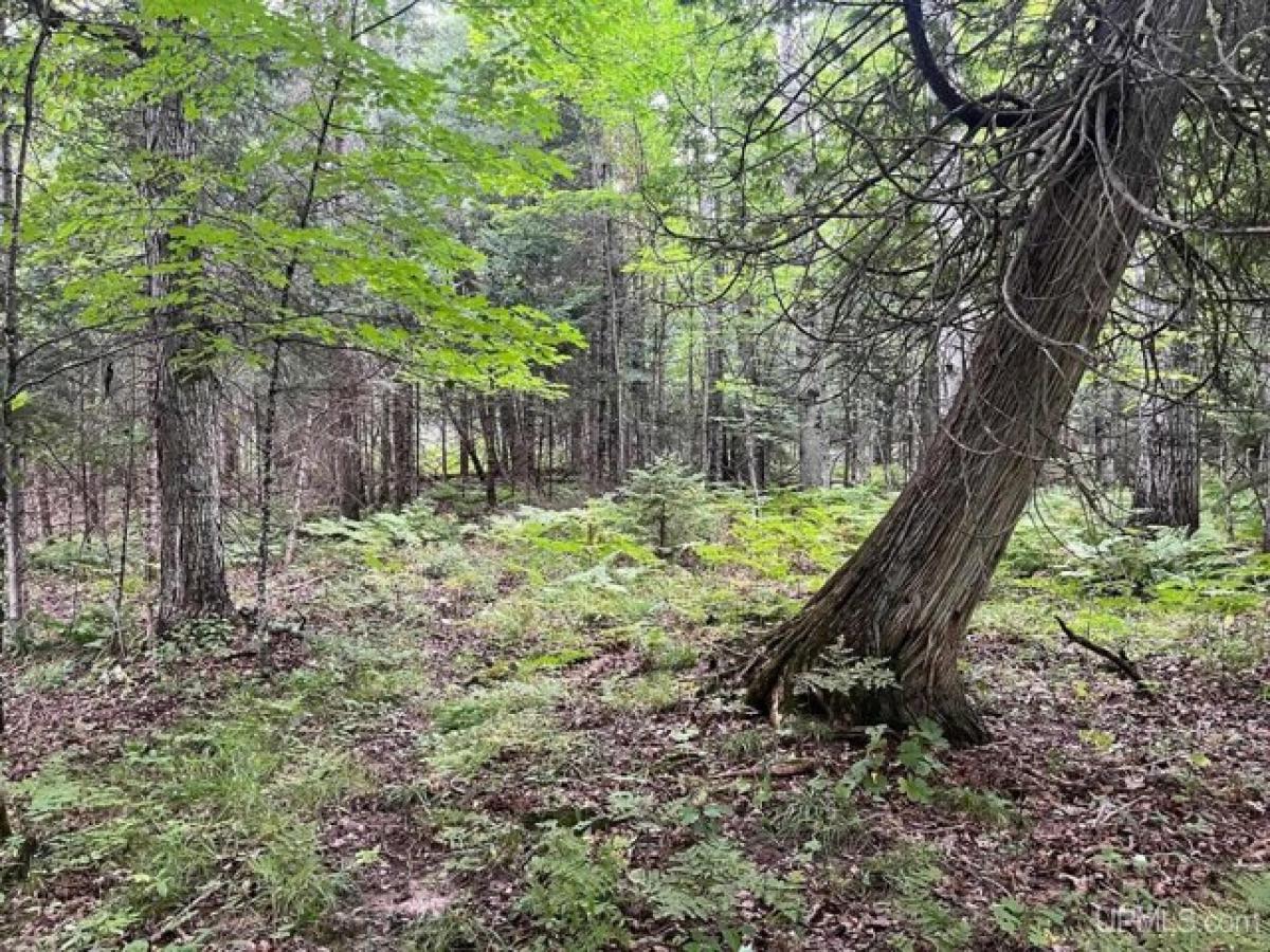 Picture of Residential Land For Sale in Pelkie, Michigan, United States