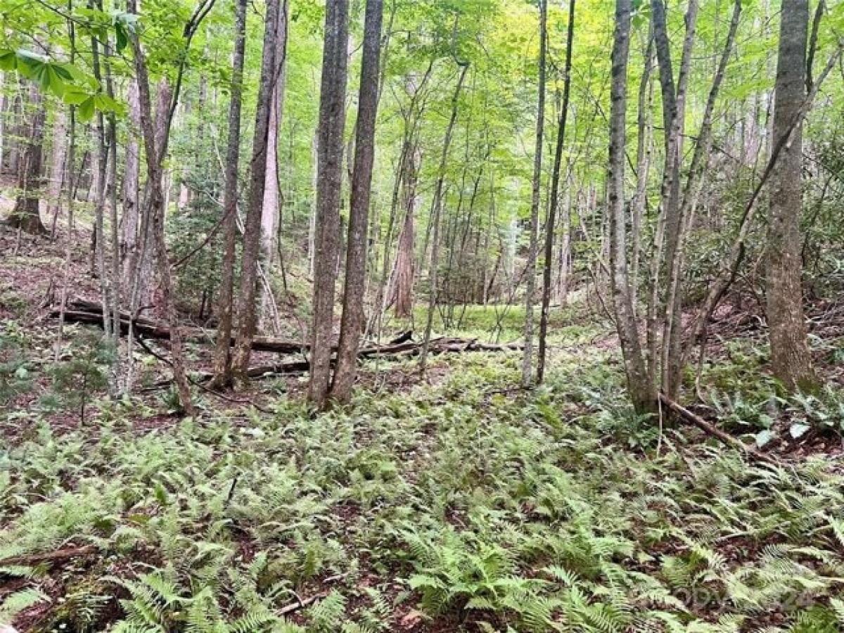 Picture of Residential Land For Sale in Lenoir, North Carolina, United States