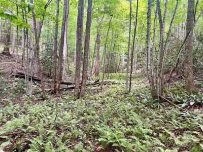 Residential Land For Sale in Lenoir, North Carolina