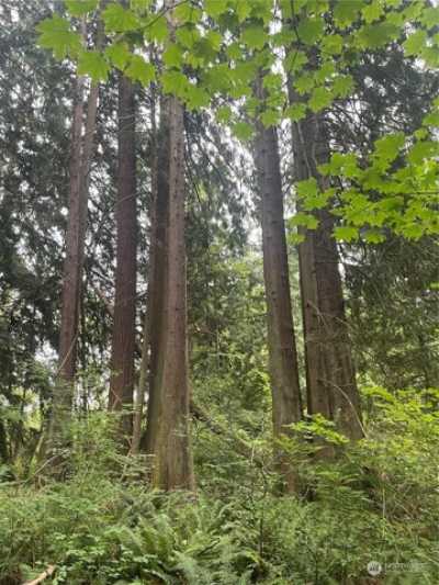 Residential Land For Sale in Arlington, Washington