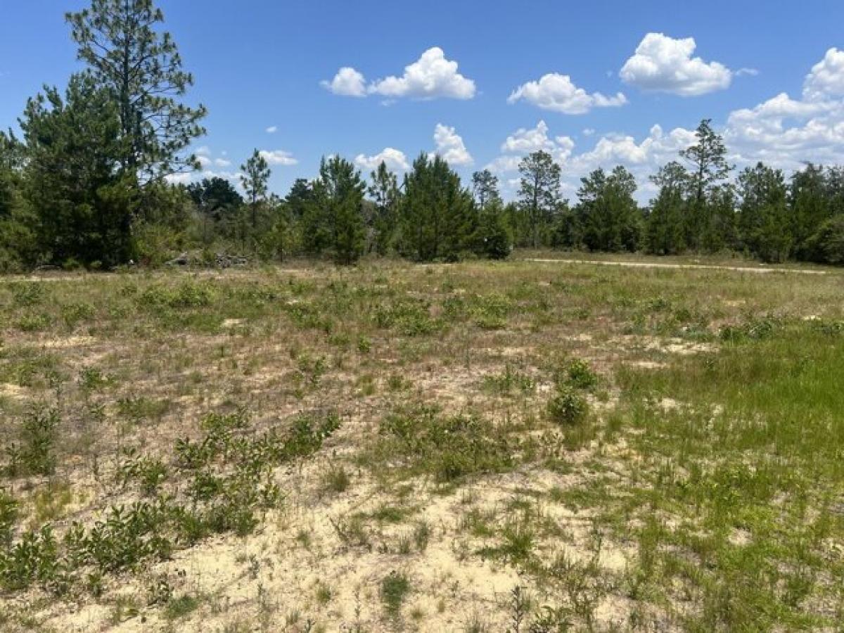 Picture of Residential Land For Sale in Chipley, Florida, United States