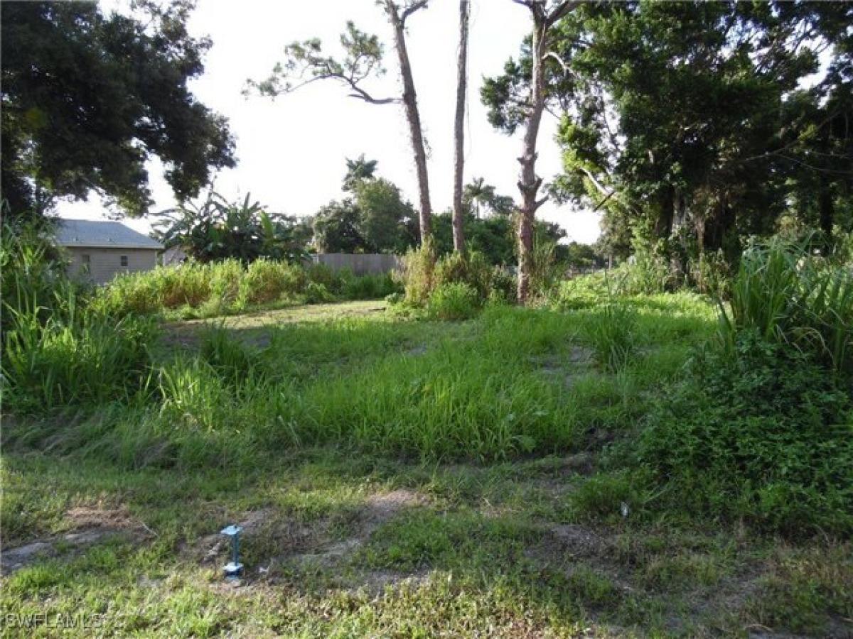 Picture of Residential Land For Sale in North Fort Myers, Florida, United States