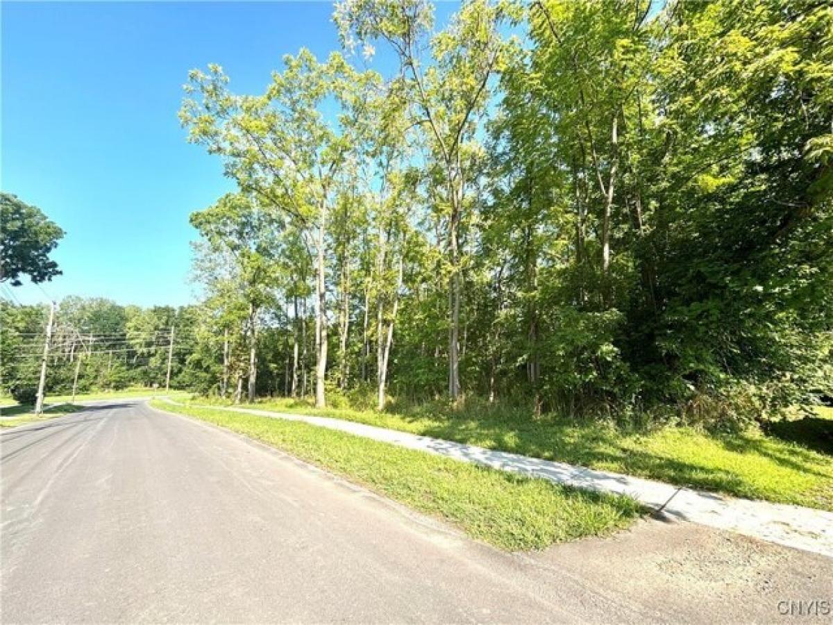 Picture of Residential Land For Sale in Auburn, New York, United States