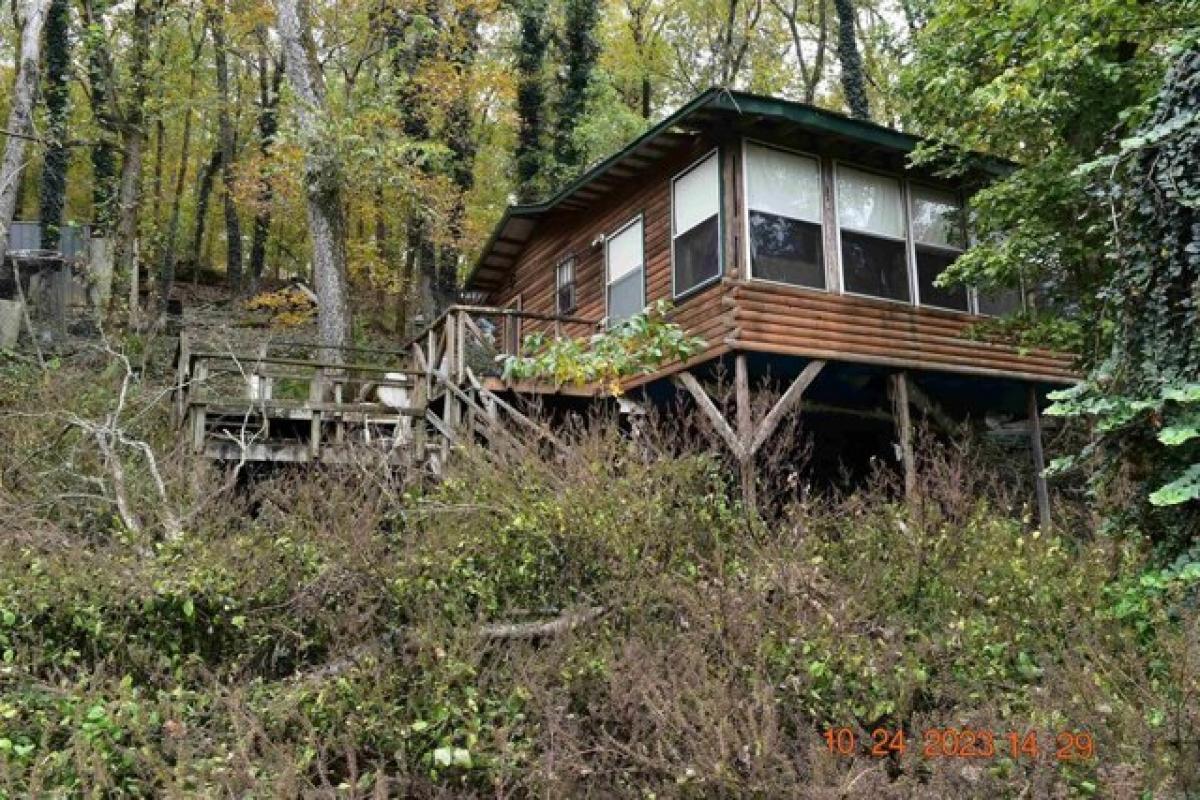 Picture of Home For Sale in Williford, Arkansas, United States