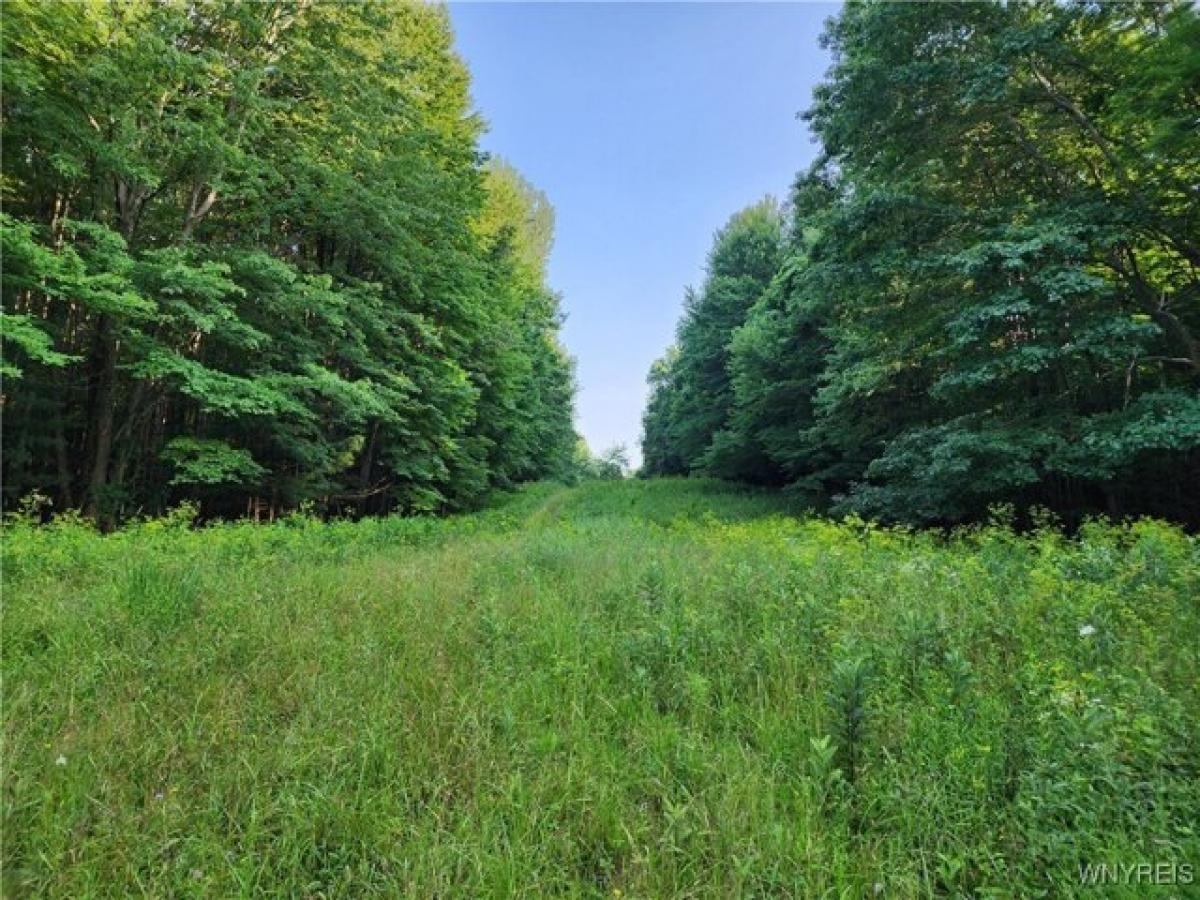 Picture of Residential Land For Sale in East Aurora, New York, United States