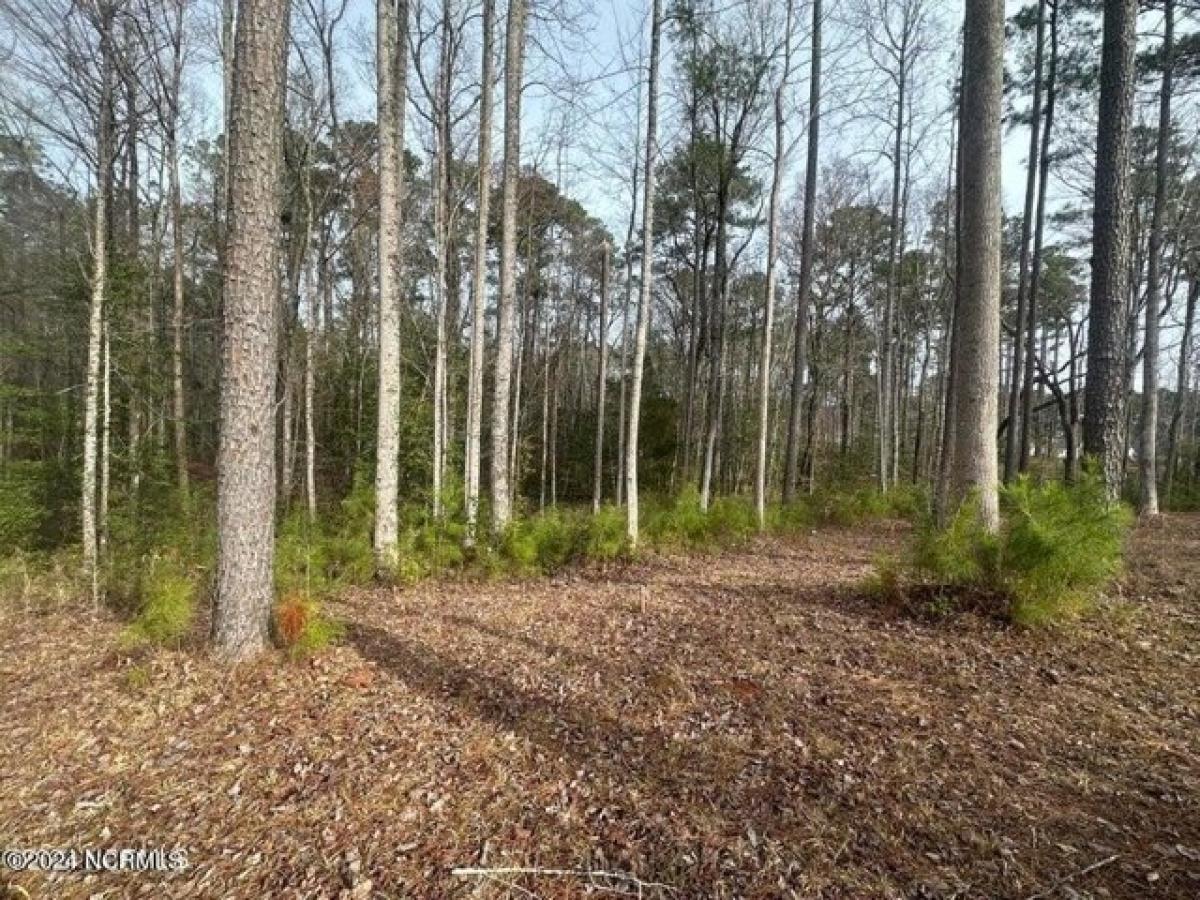 Picture of Residential Land For Sale in New Bern, North Carolina, United States