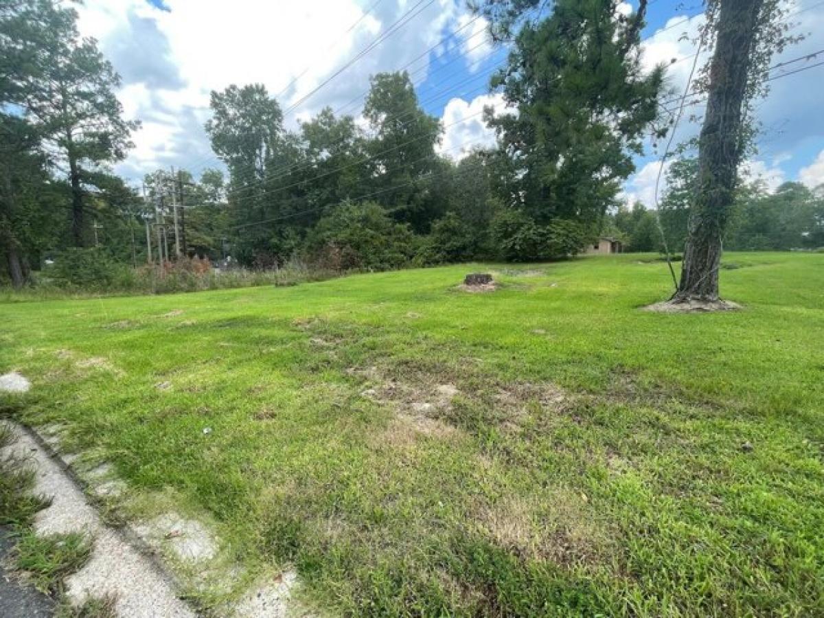 Picture of Residential Land For Sale in Leesville, Louisiana, United States