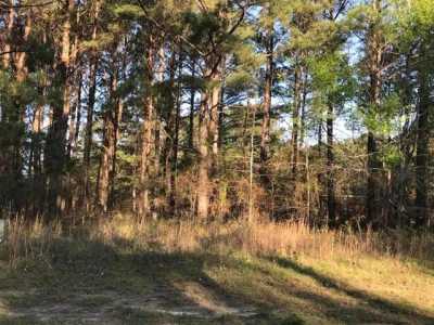 Residential Land For Sale in Albany, Georgia