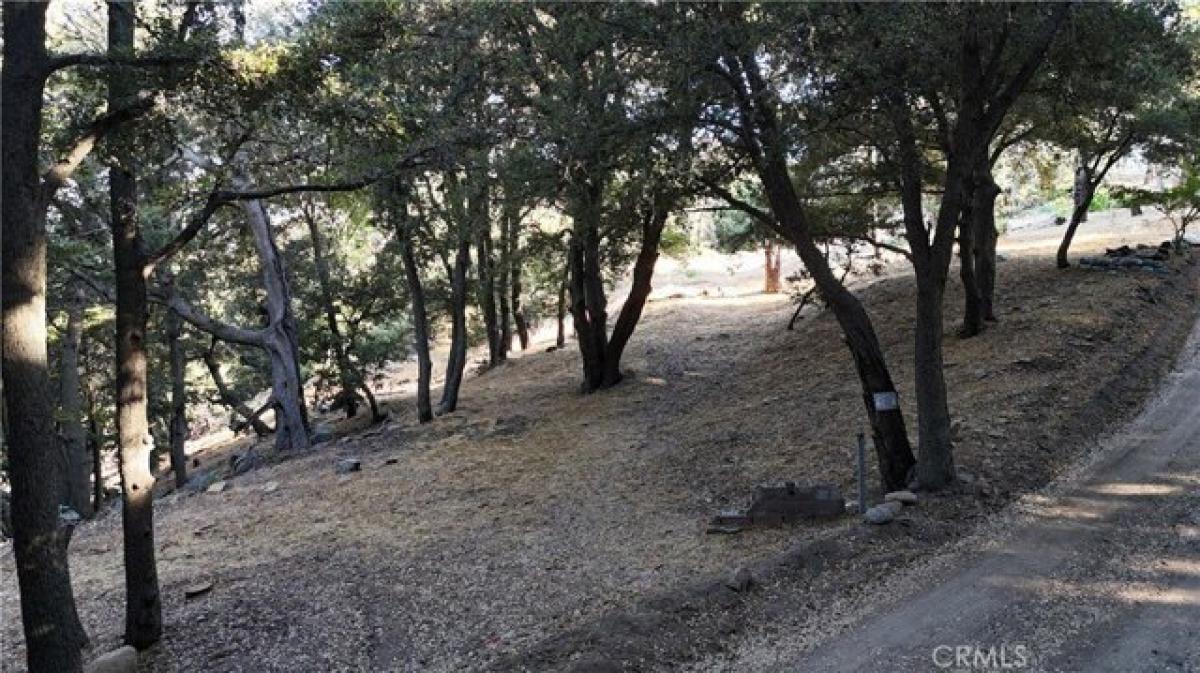 Picture of Residential Land For Sale in Cedarpines Park, California, United States