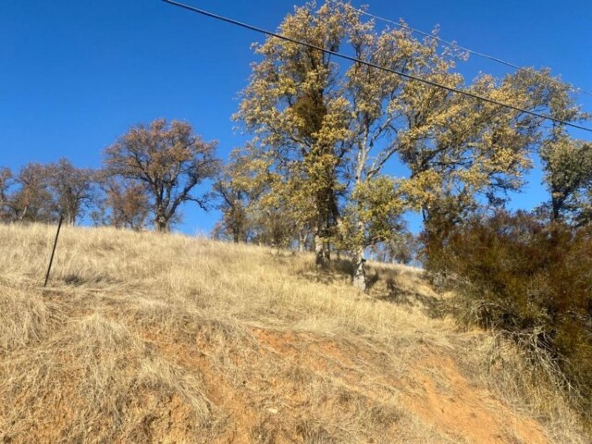 Picture of Residential Land For Sale in Valley Springs, California, United States