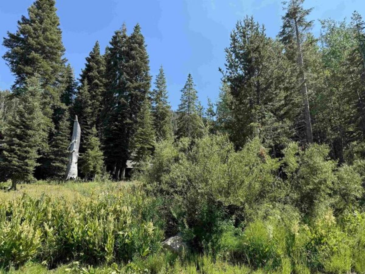 Picture of Residential Land For Sale in Alpine Meadows, California, United States