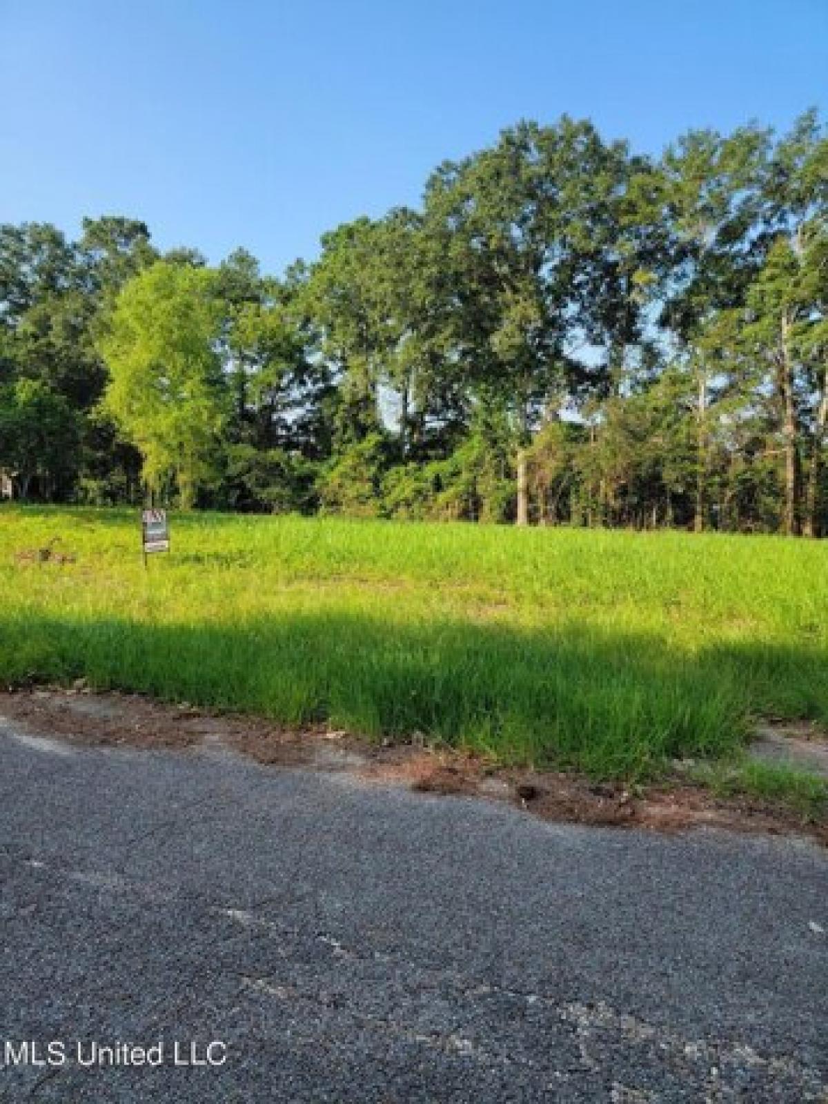 Picture of Residential Land For Sale in Wiggins, Mississippi, United States