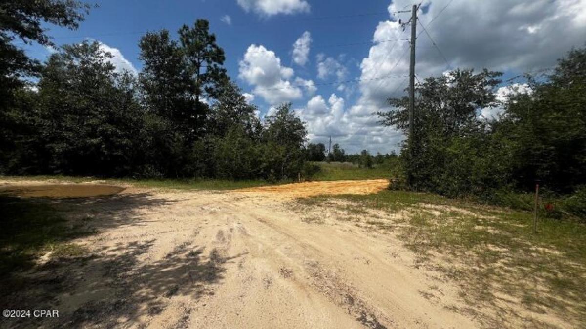 Picture of Residential Land For Sale in Youngstown, Florida, United States