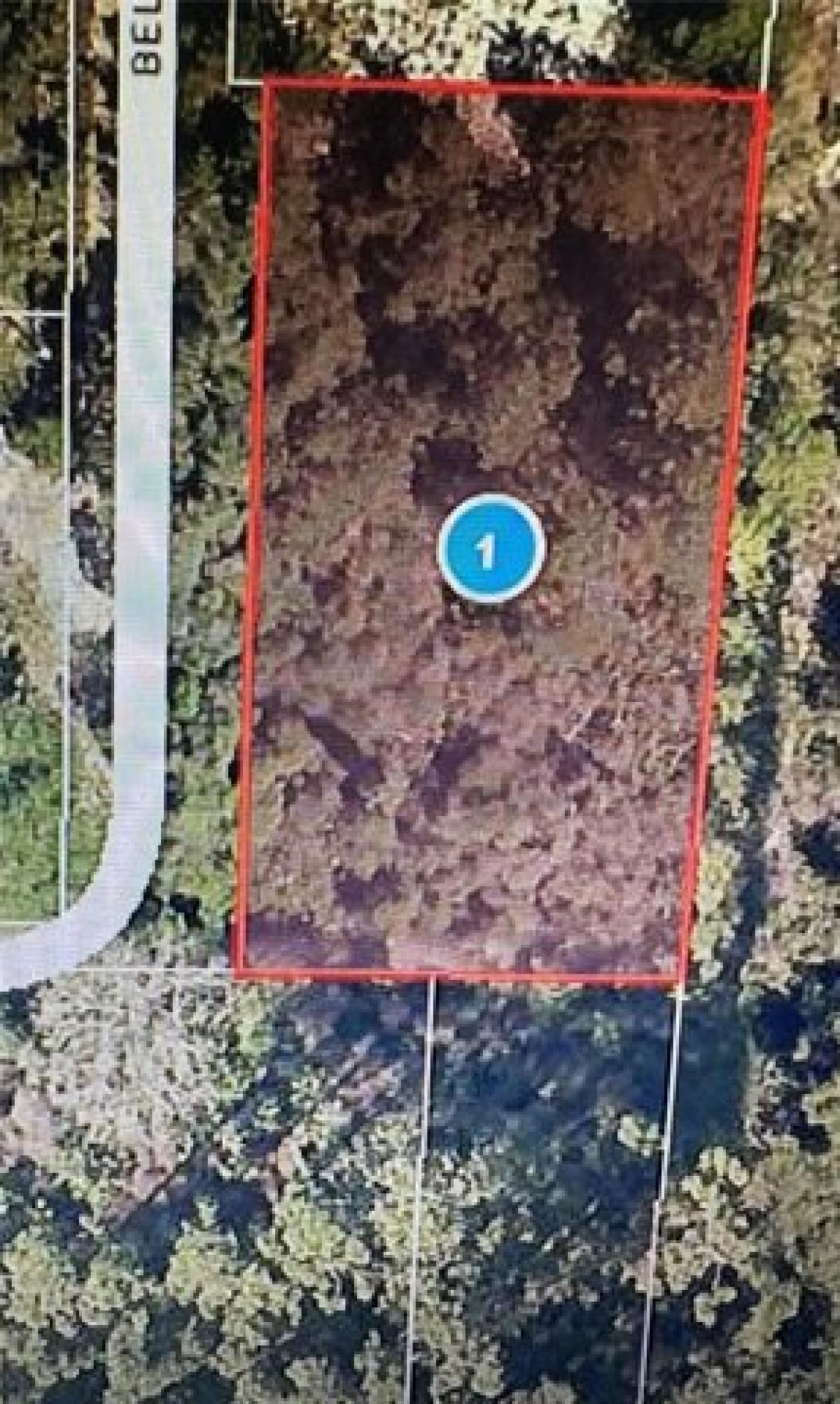 Picture of Residential Land For Sale in Leesburg, Florida, United States