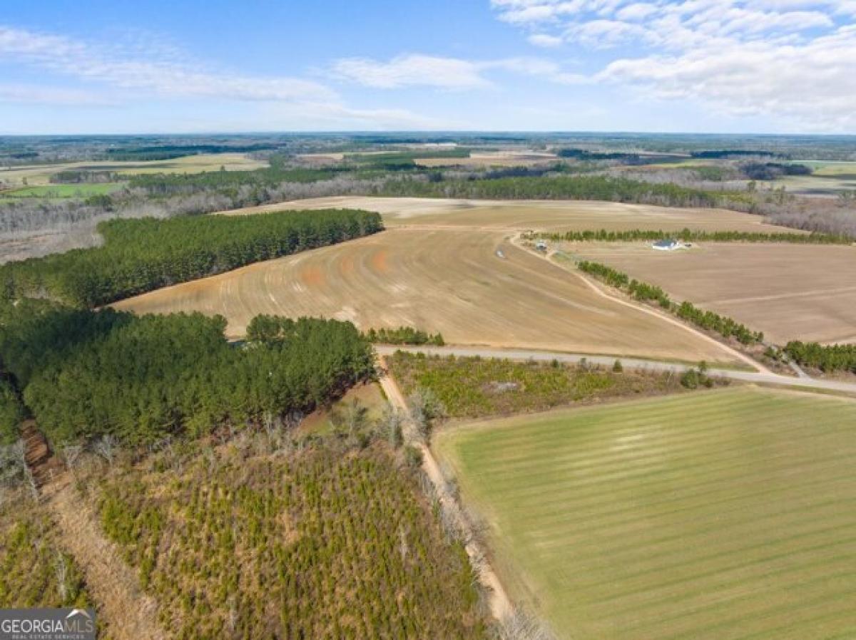 Picture of Residential Land For Sale in Statesboro, Georgia, United States